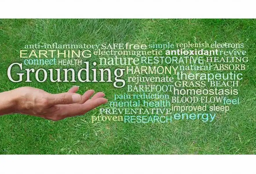 ホメオスタシス