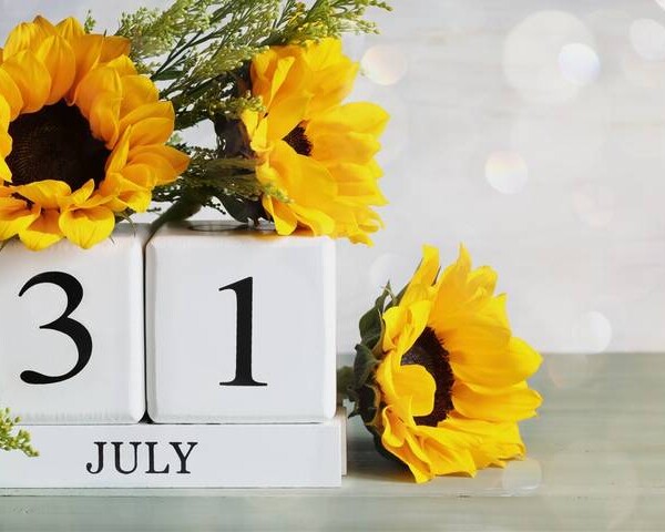 7月31日