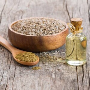 キャラウェイシードとオイル