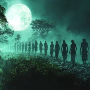 ナイトマーチャーズ