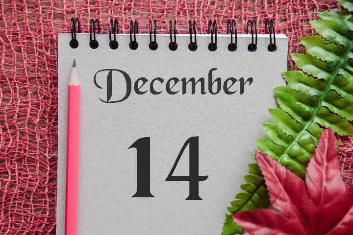 12月14日