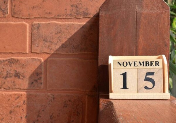 11月15日
