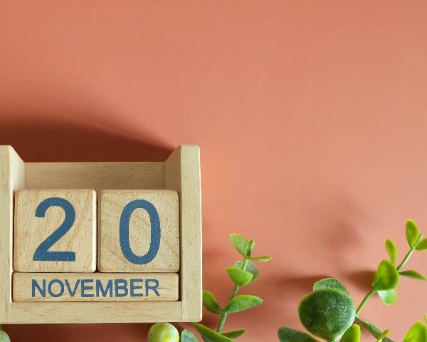 11月20日