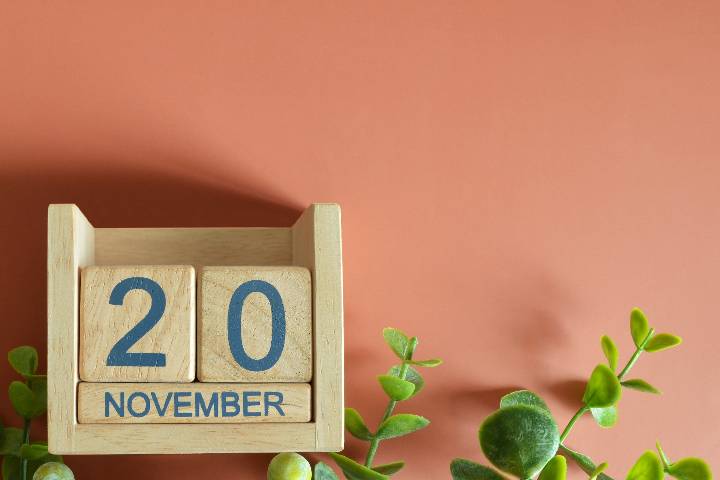 11月20日