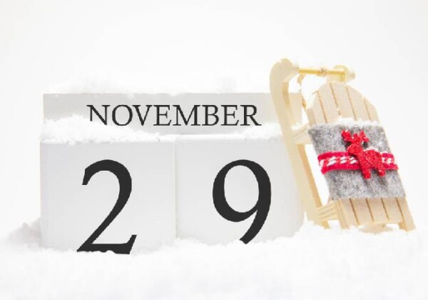11月29日