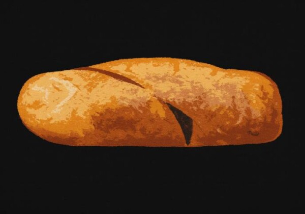 人間の骨の化石