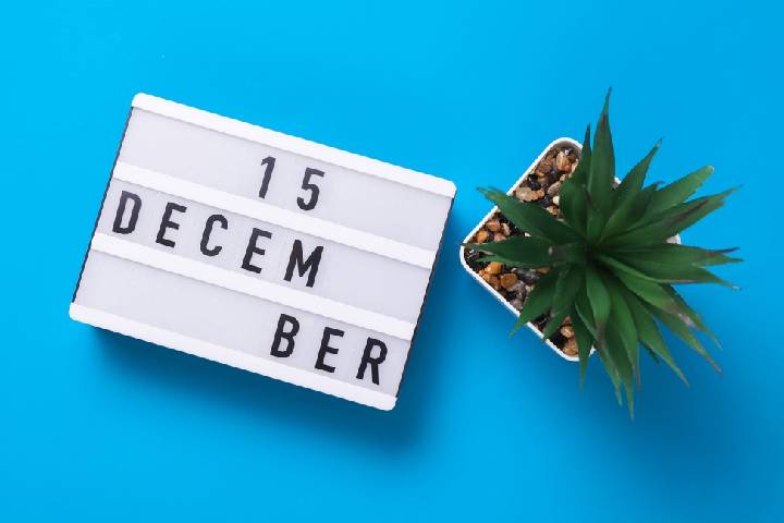 12月15日