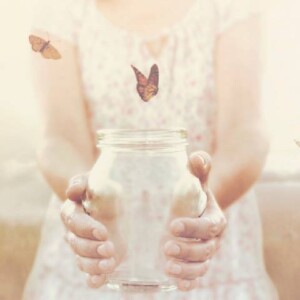 自由になった蝶たち