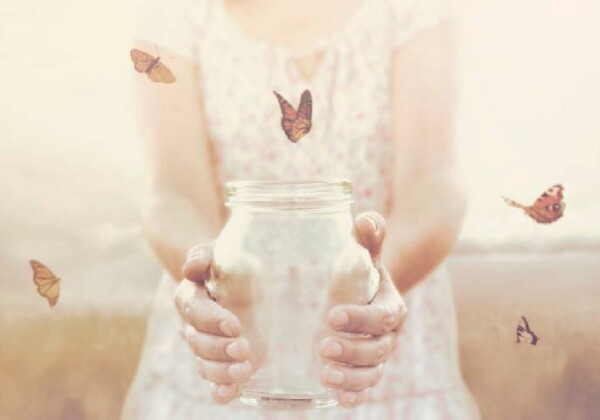 自由になった蝶たち