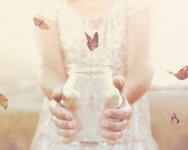 自由になった蝶たち