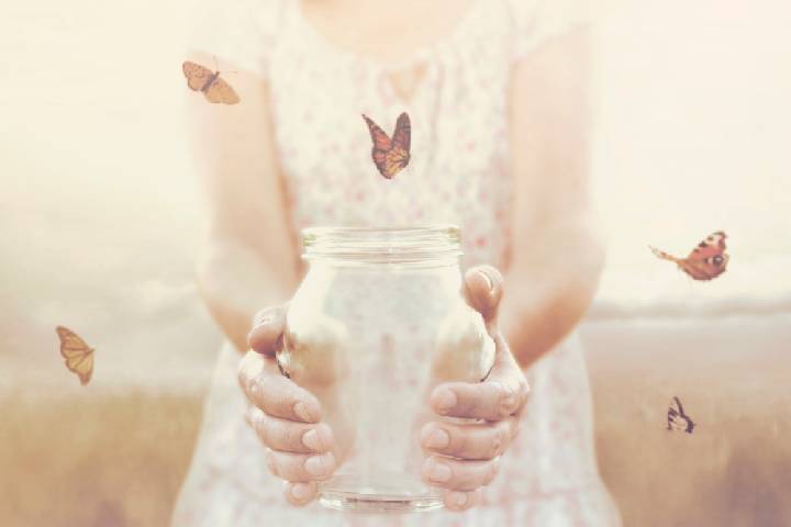 自由になった蝶たち