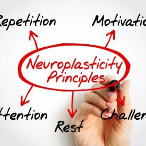 神経可塑性の原則