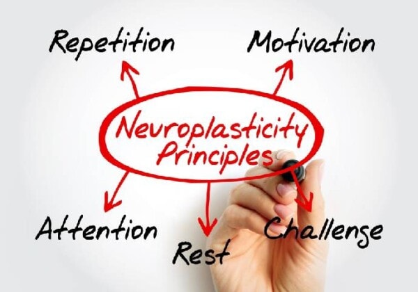 神経可塑性の原則