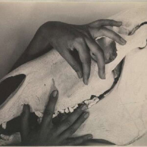 Georgia-OKeeffe　手と牛の頭蓋骨