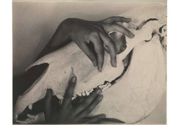 Georgia-OKeeffe　手と牛の頭蓋骨