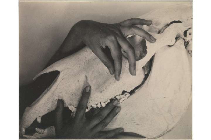 Georgia-OKeeffe　手と牛の頭蓋骨