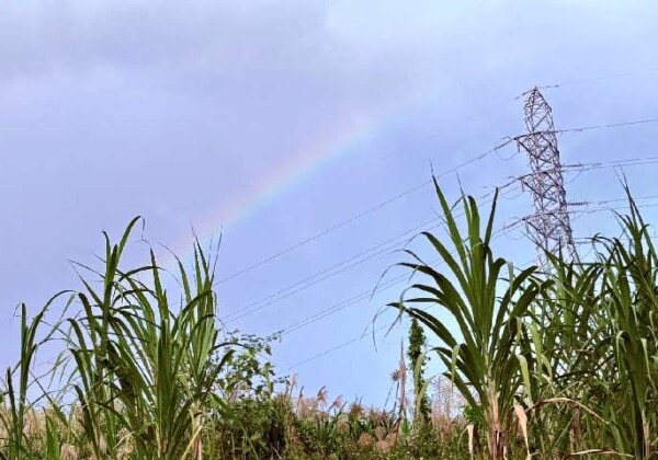 沖縄の虹