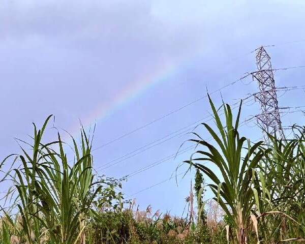 沖縄の虹