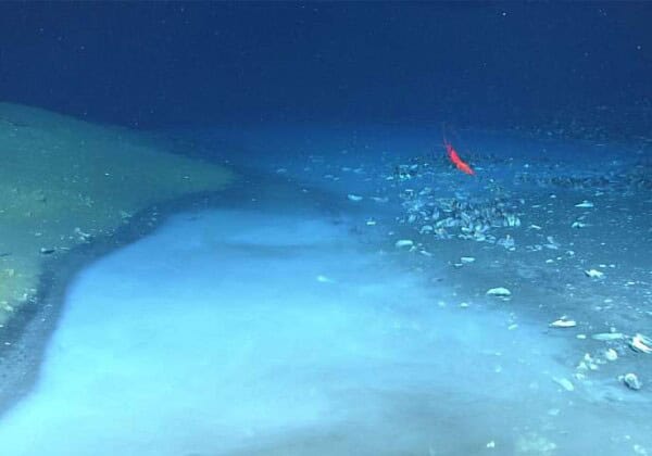 メキシコ湾の塩水溜まり